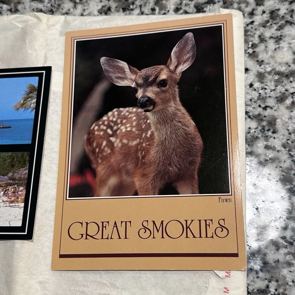 Vintage Postcard‎ Lot Of 3 Bahamas Beaches Deer Fawn Great Smokes Unused